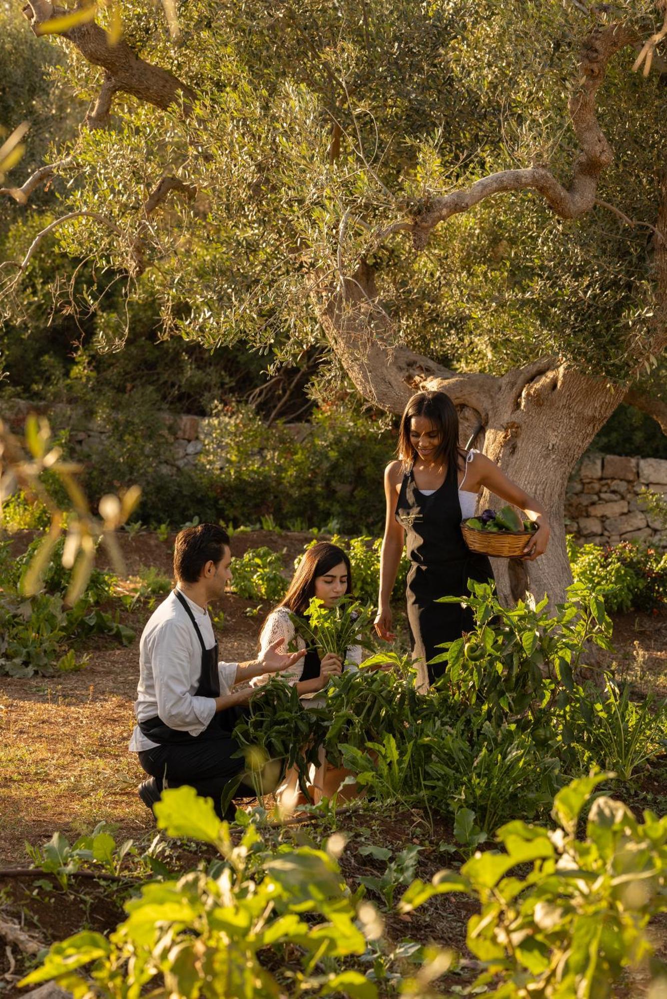 Masseria San Paolo Grande Ostuni Exterior photo